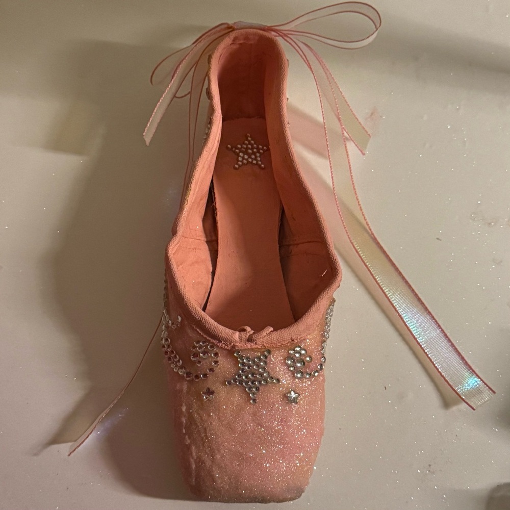 Glinda from Wicked Decorated Pointe Shoes